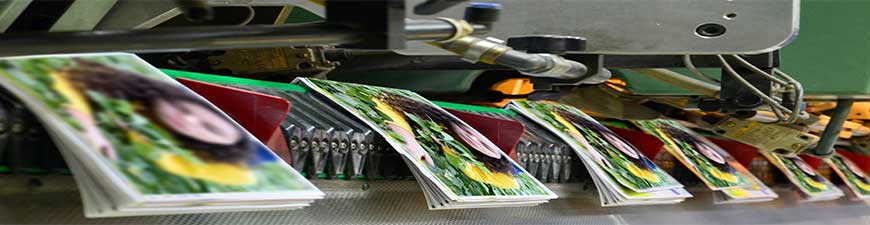 offset book printing signatures