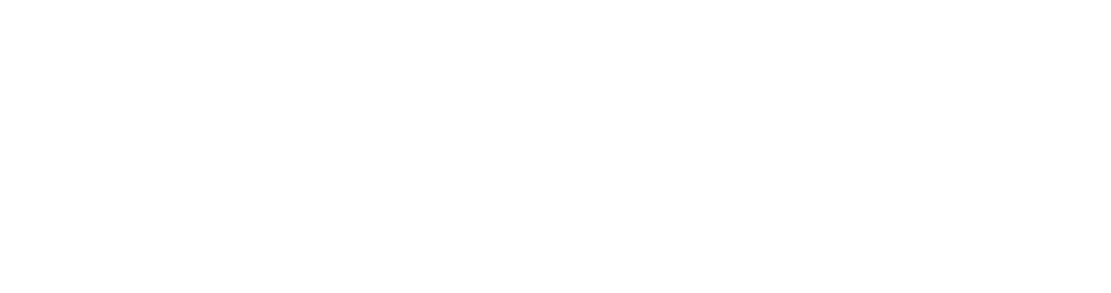 Paladin Retirement Advisors logo