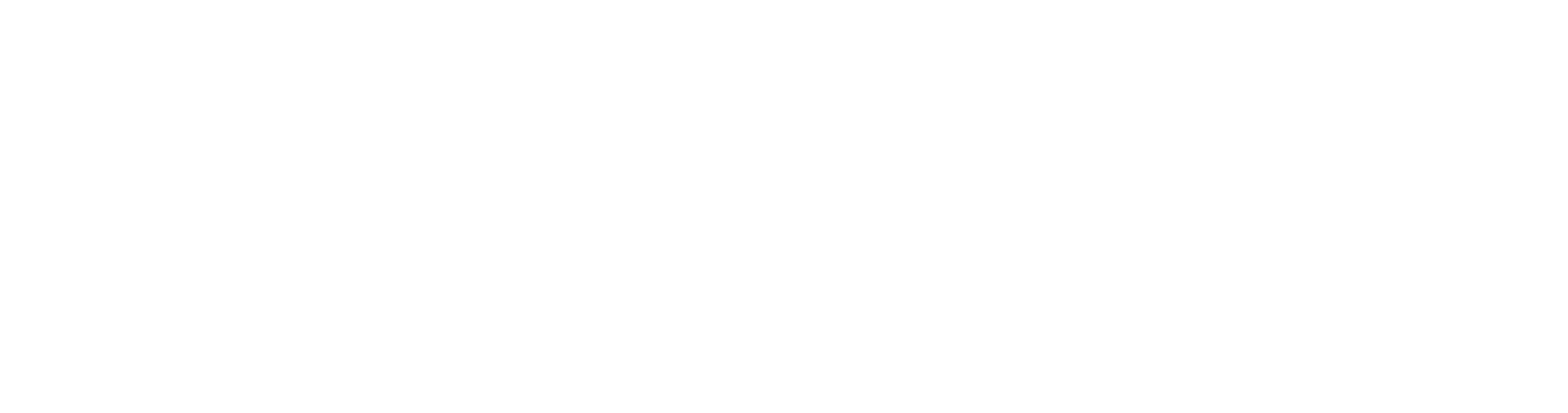 Paladin Retirement Advisors logo